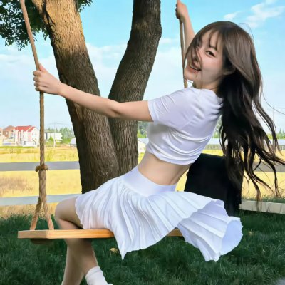 燕子盗 封面